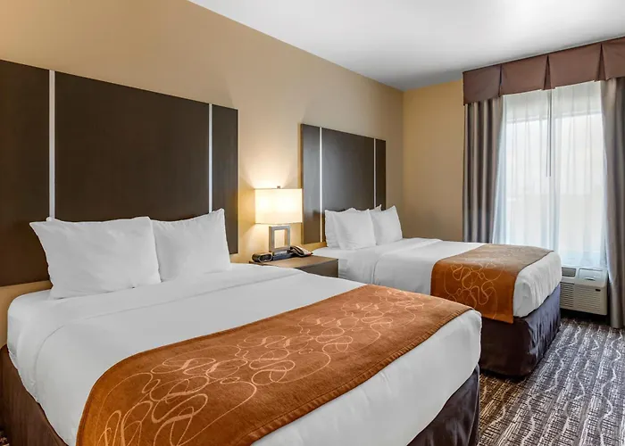 Comfort Suites Near Sam Houston Race Park